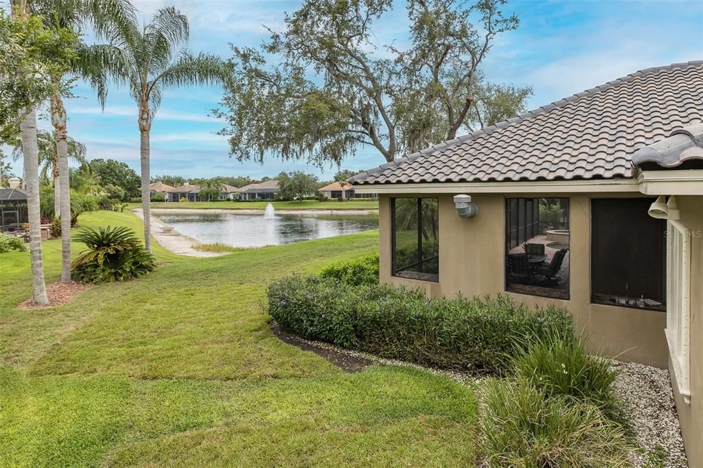 Backyard, Exterior, Water