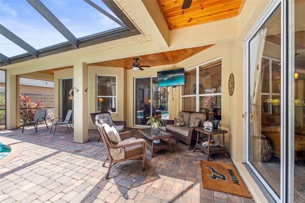 Glass Ceilings, Interior, Sun Room, Wooden Ceilings