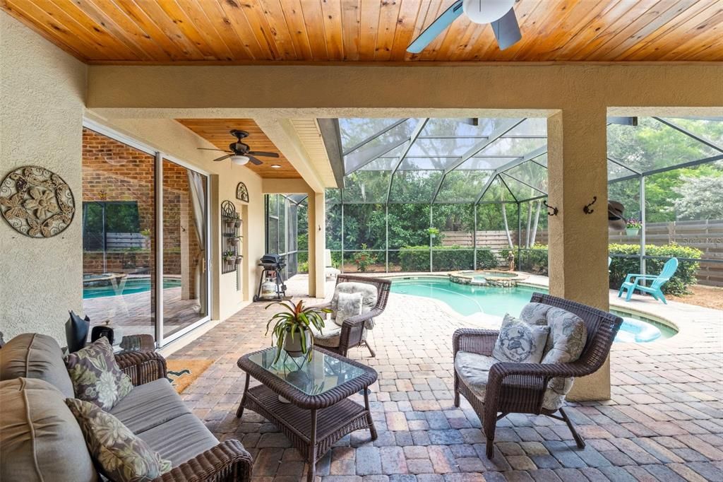 Glass Ceilings, Interior, Pool, Stone Walls, Sun Room, Wooden Ceilings