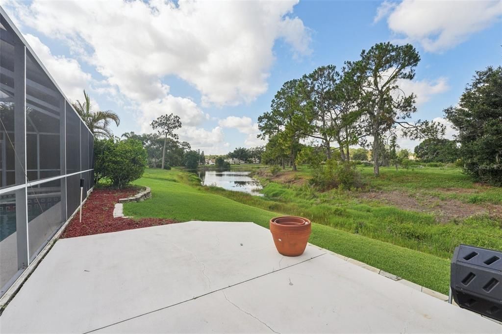 Backyard, Exterior, Water
