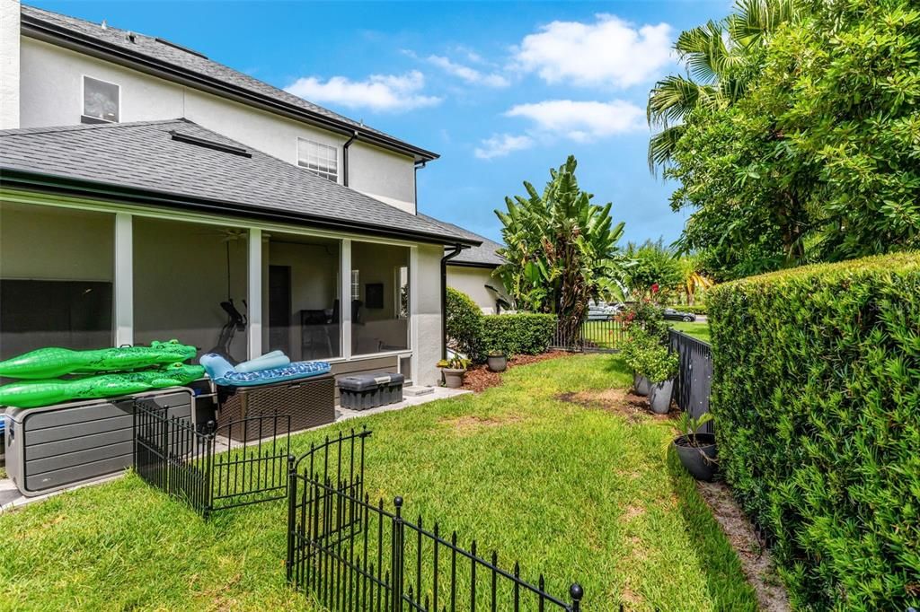 Backyard, Exterior