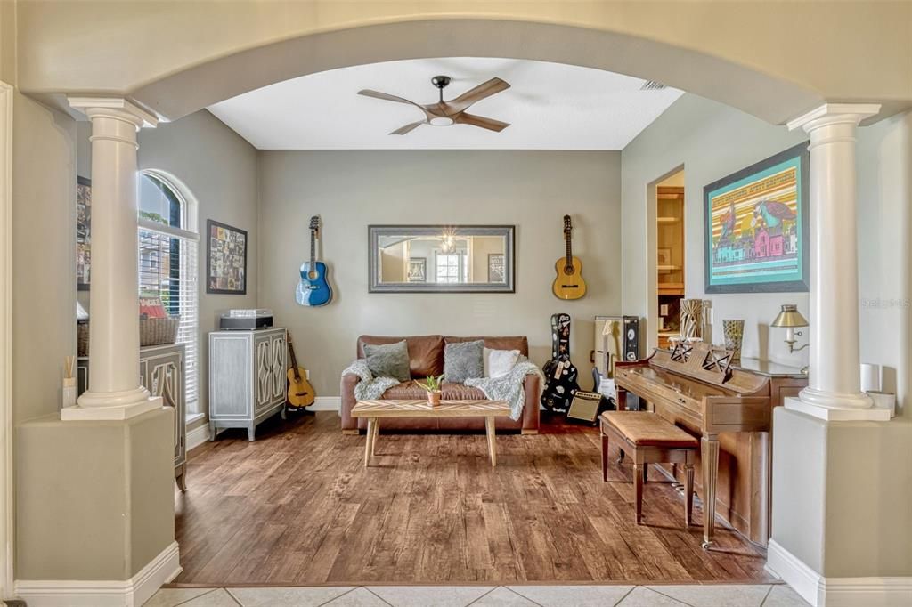 Interior, Living room, Piano, Wood Texture Flooring
