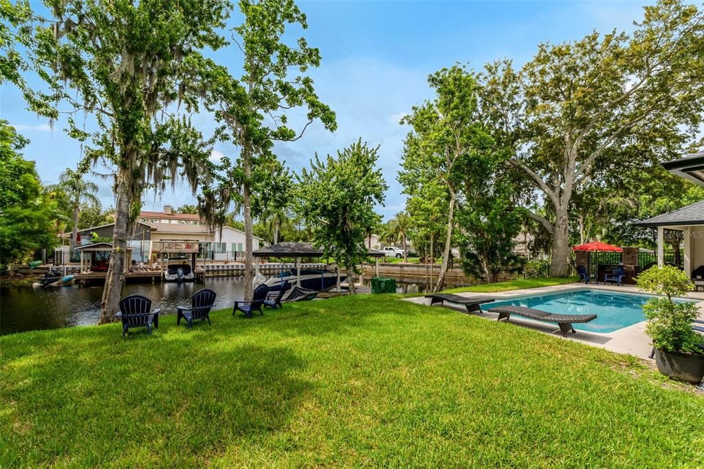 Backyard, Exterior, Pool, Water