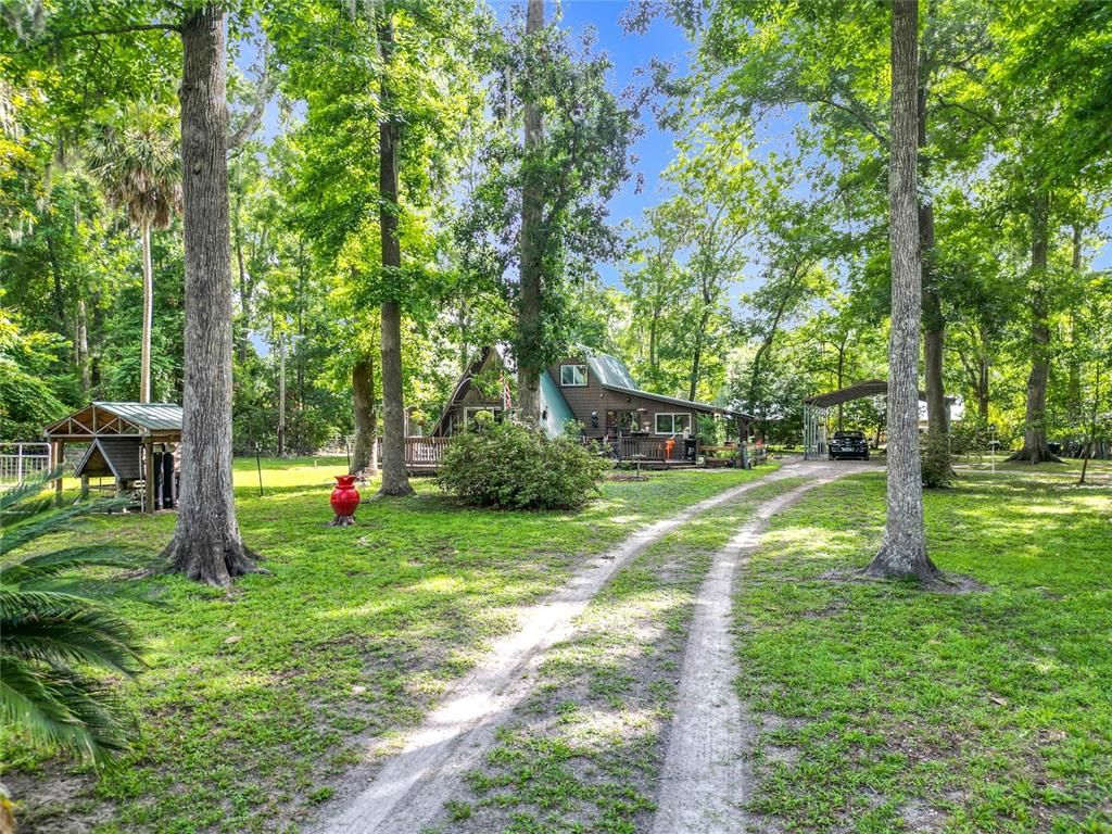 Backyard, Exterior
