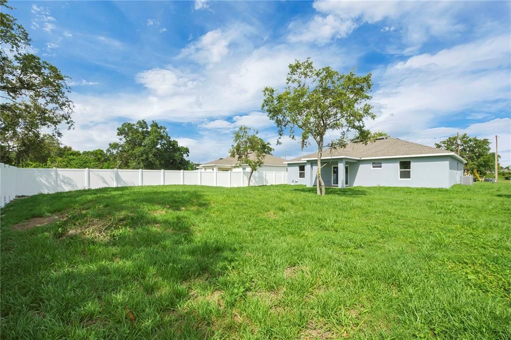 Backyard, Exterior