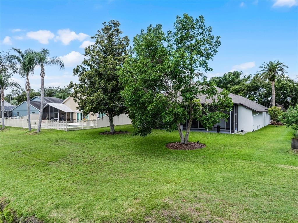 Backyard, Exterior