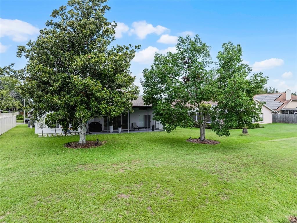 Backyard, Exterior