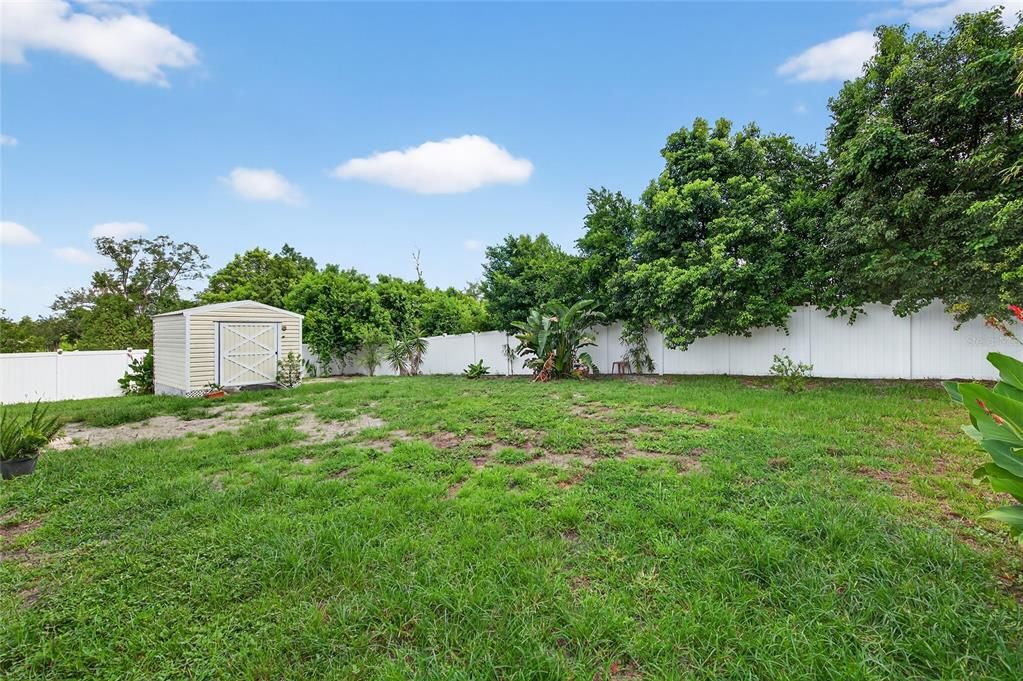 Backyard, Exterior