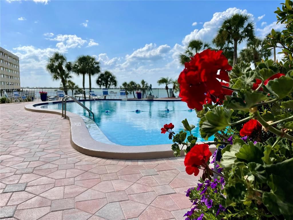 Exterior, Pool