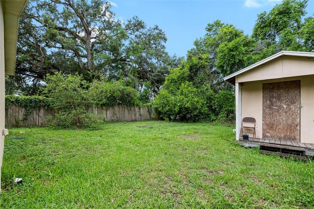 Backyard, Exterior