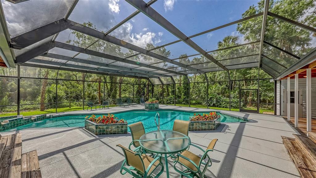 Glass Ceilings, Interior, Pool, Sun Room
