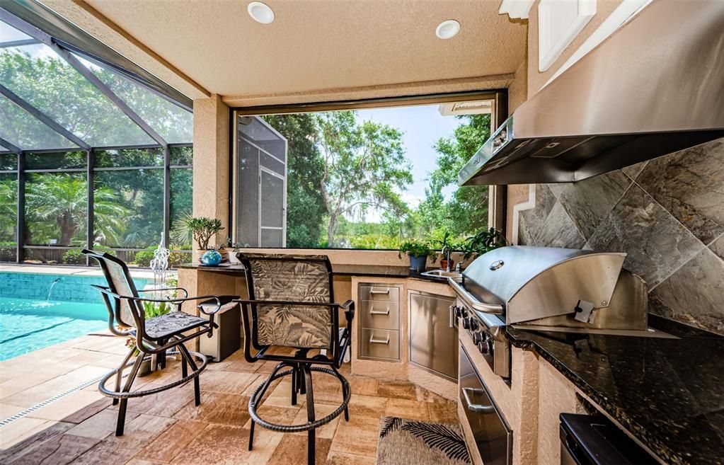 Glass Ceilings, Interior, Pool, Sun Room