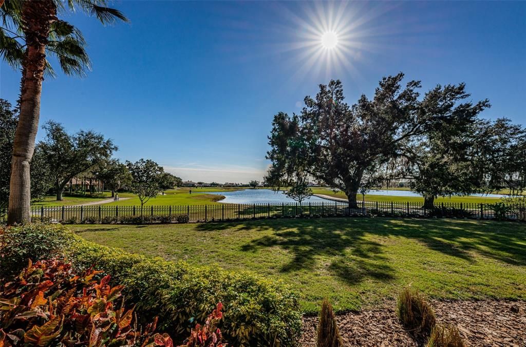 Backyard, Exterior, Water