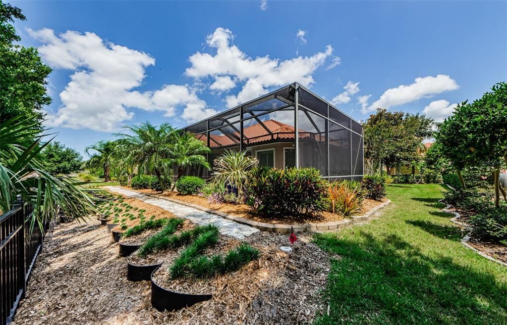 Backyard, Exterior