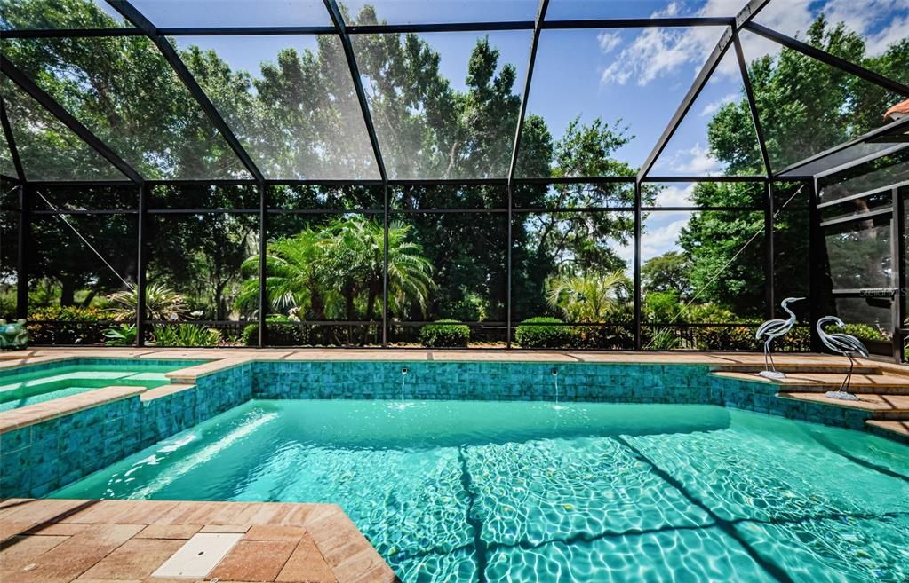 Glass Ceilings, Interior, Pool, Sun Room