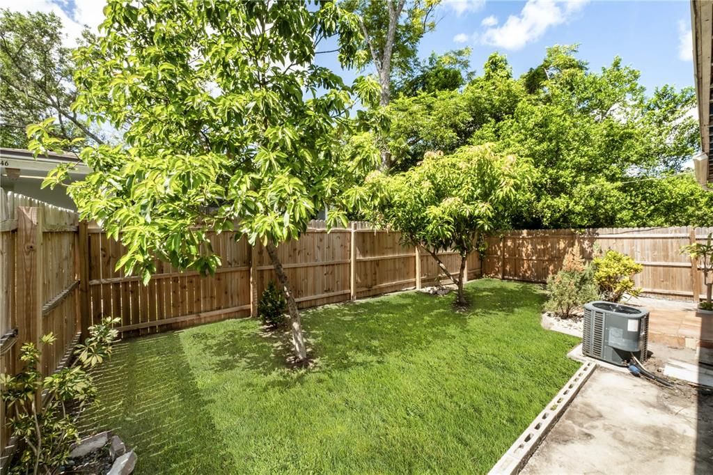 Backyard, Exterior