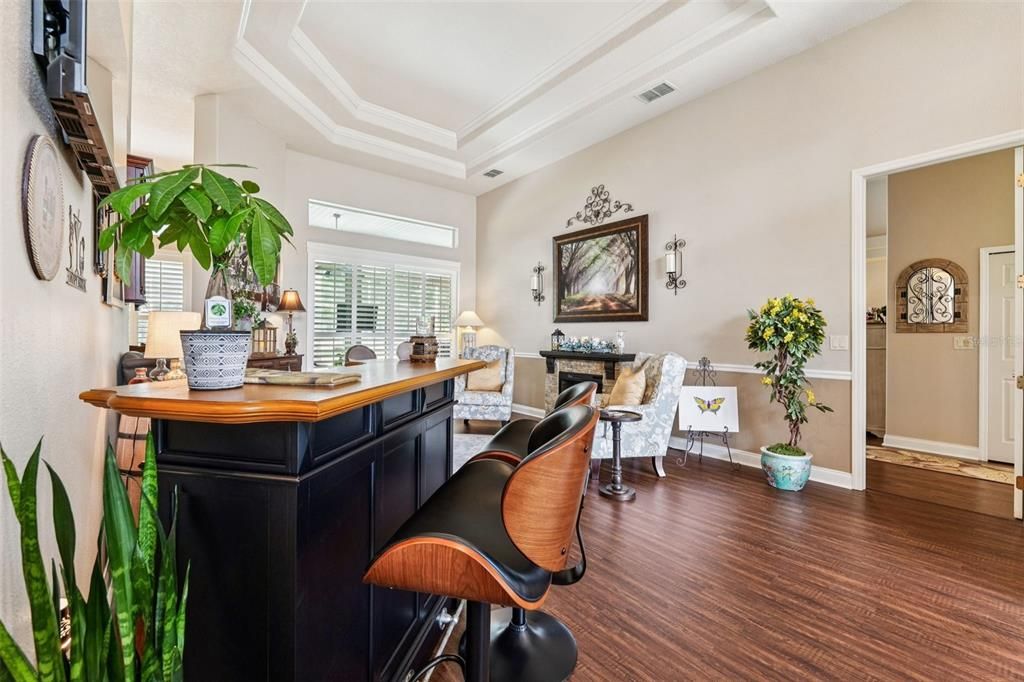 Fireplace, Home Office, Interior, Wood Texture Flooring