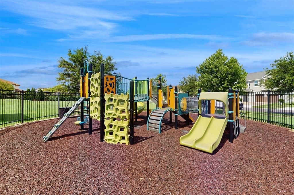 Backyard, Exterior, Playground