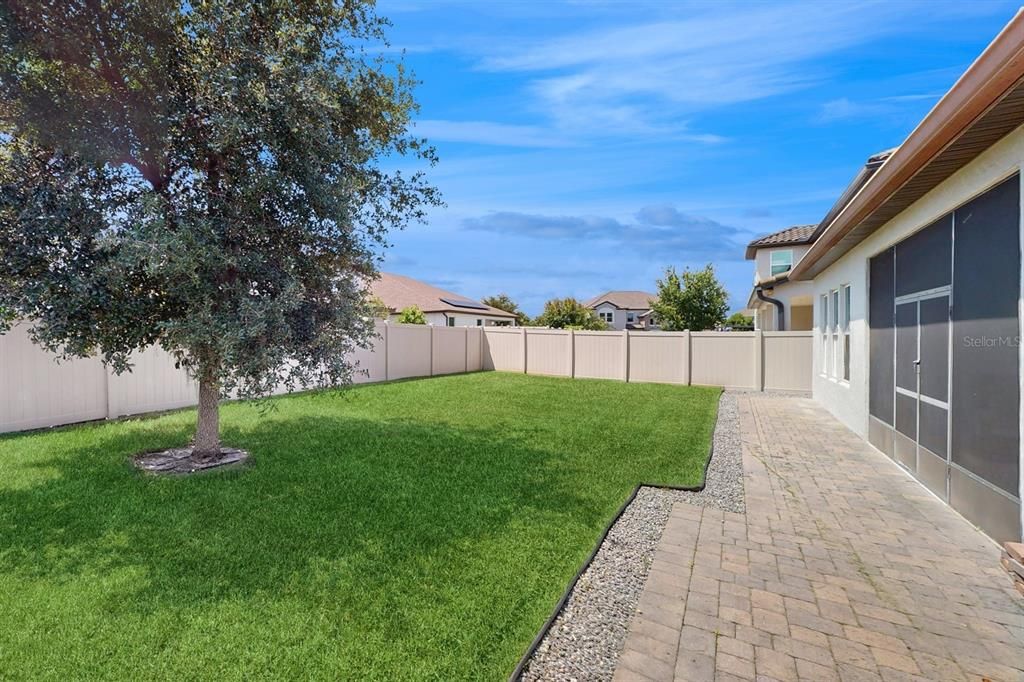 Backyard, Exterior