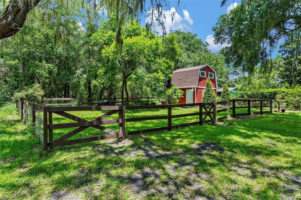 Backyard, Exterior