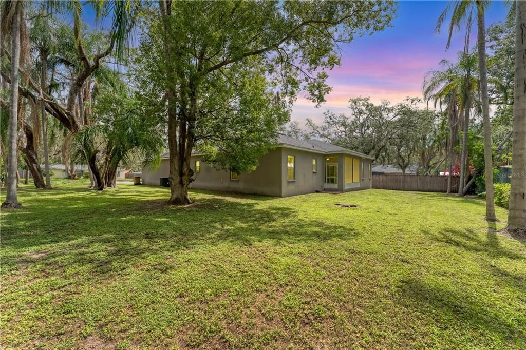 Backyard, Exterior