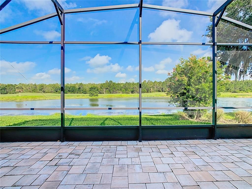 Glass Ceilings, Interior, Sun Room, Water
