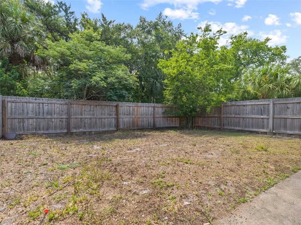 Backyard, Exterior