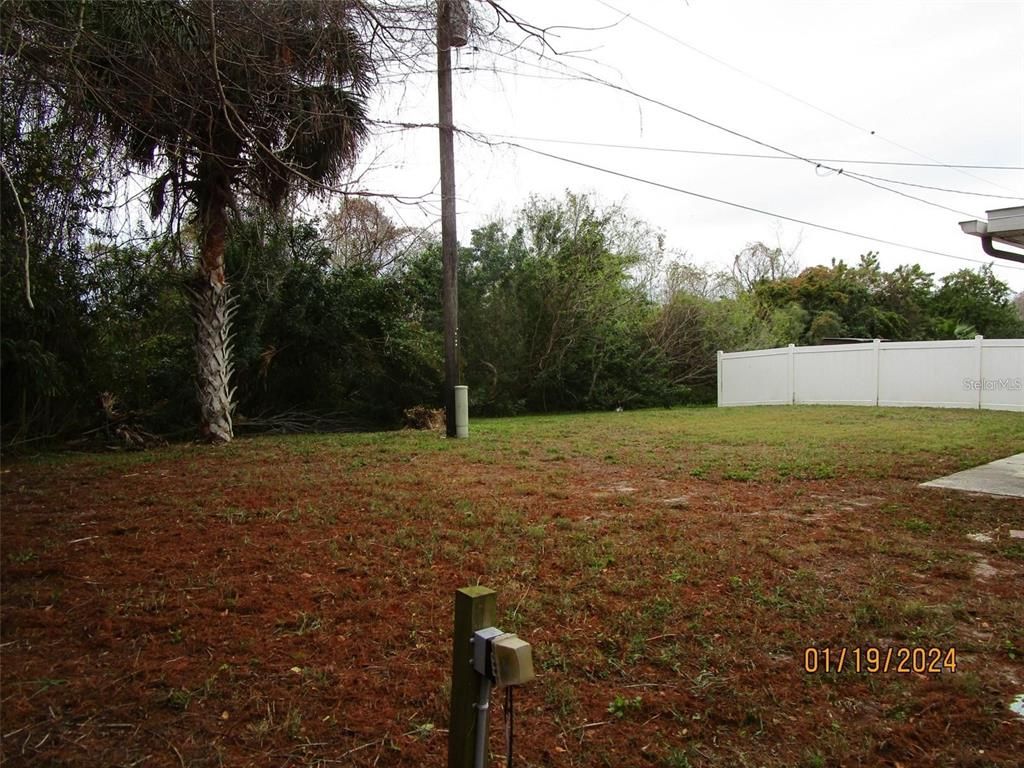 Backyard, Exterior