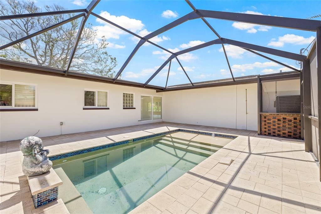 Glass Ceilings, Interior, Pool, Sun Room