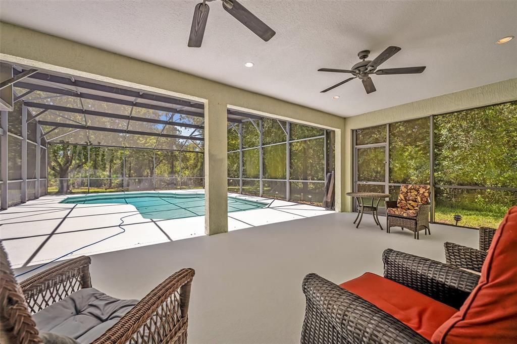 Glass Ceilings, Interior, Pool, Recessed Lighting, Sun Room