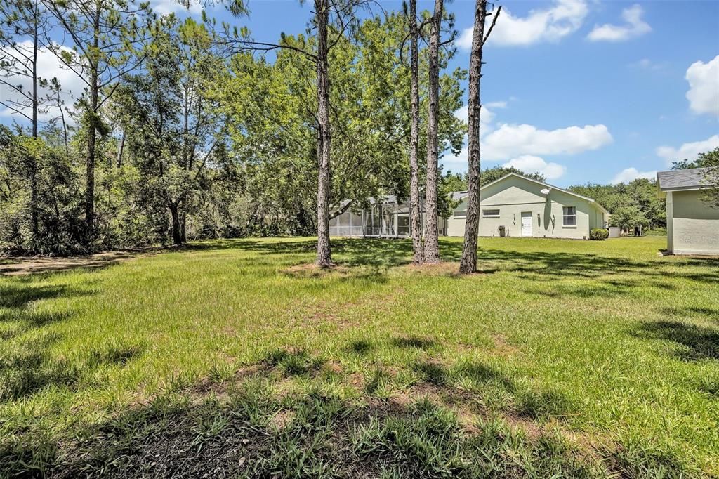 Backyard, Exterior