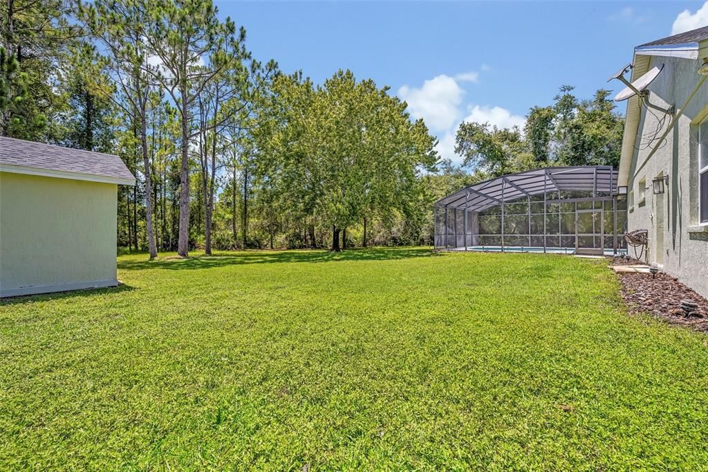 Backyard, Exterior