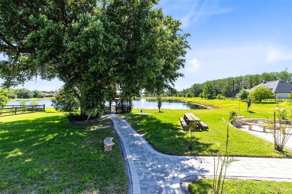 Backyard, Exterior, Water