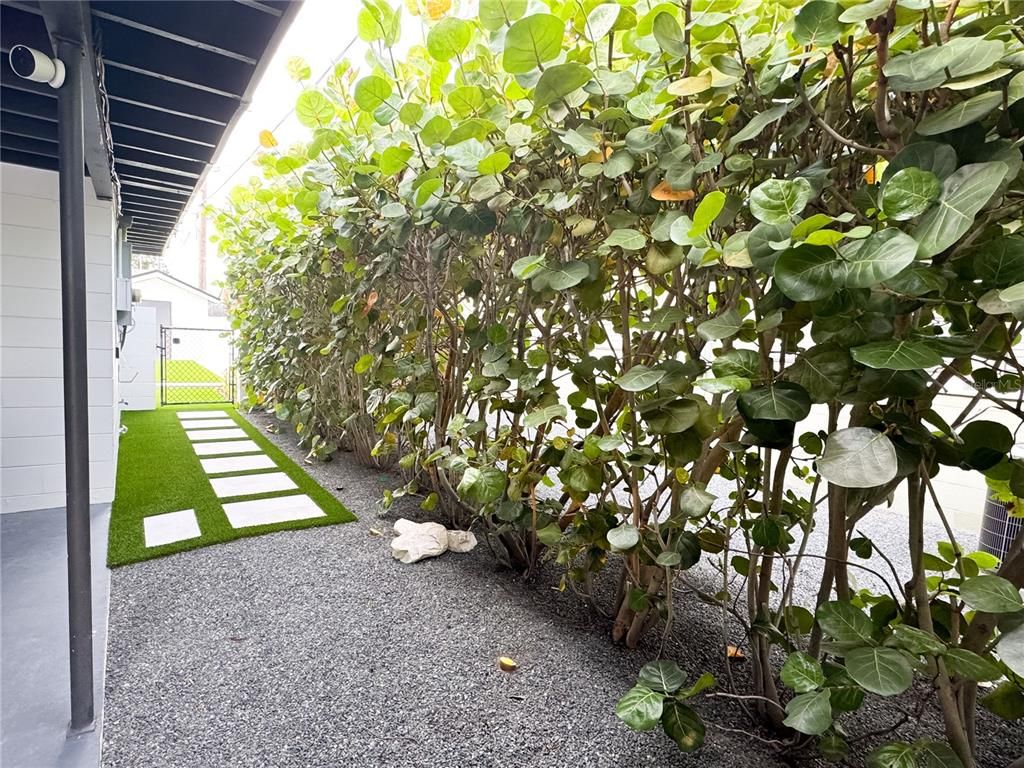 Backyard, Exterior