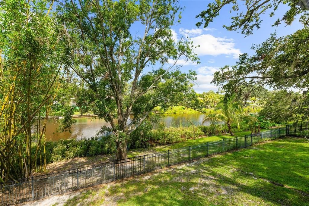 Backyard, Exterior, Water