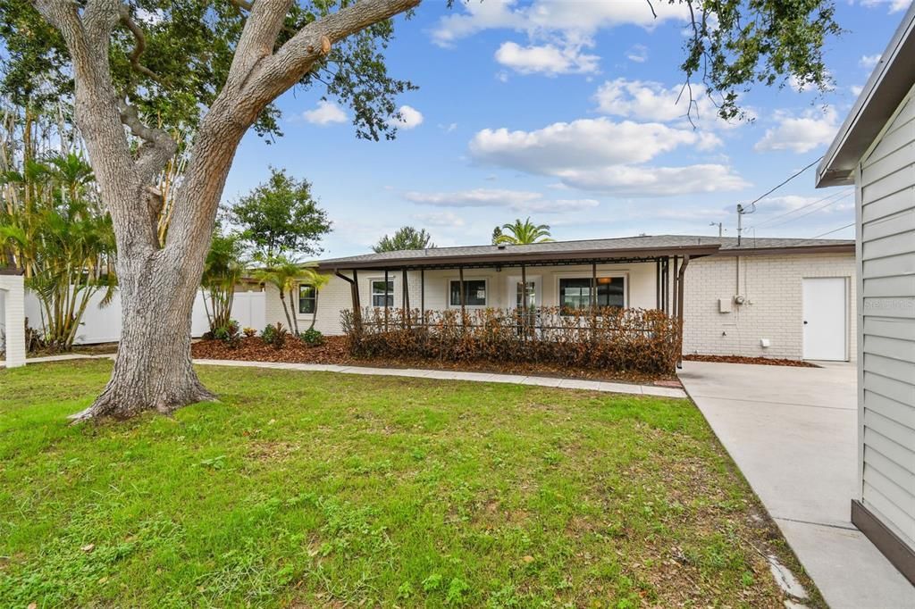 Backyard, Exterior