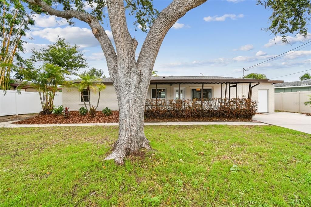 Backyard, Exterior