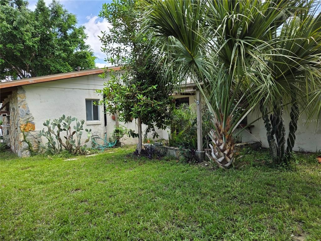 Backyard, Exterior