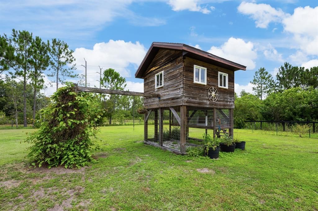 Backyard, Exterior
