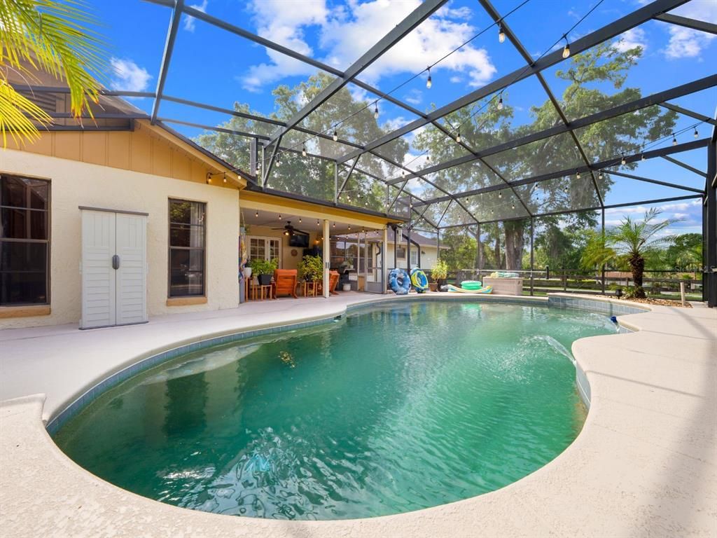 Glass Ceilings, Interior, Pool, Sun Room