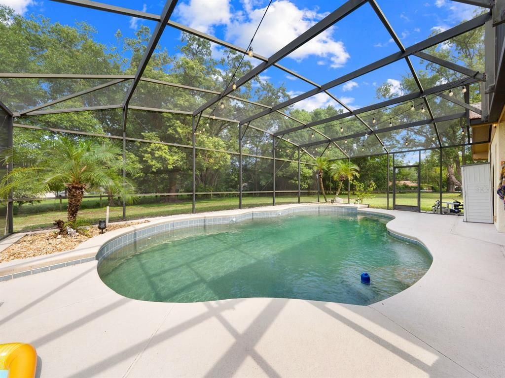 Glass Ceilings, Interior, Pool, Sun Room