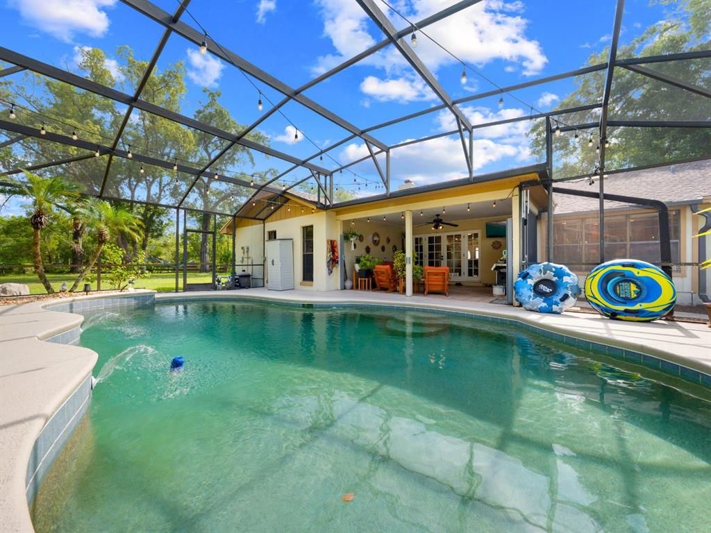 Glass Ceilings, Interior, Pool, Sun Room