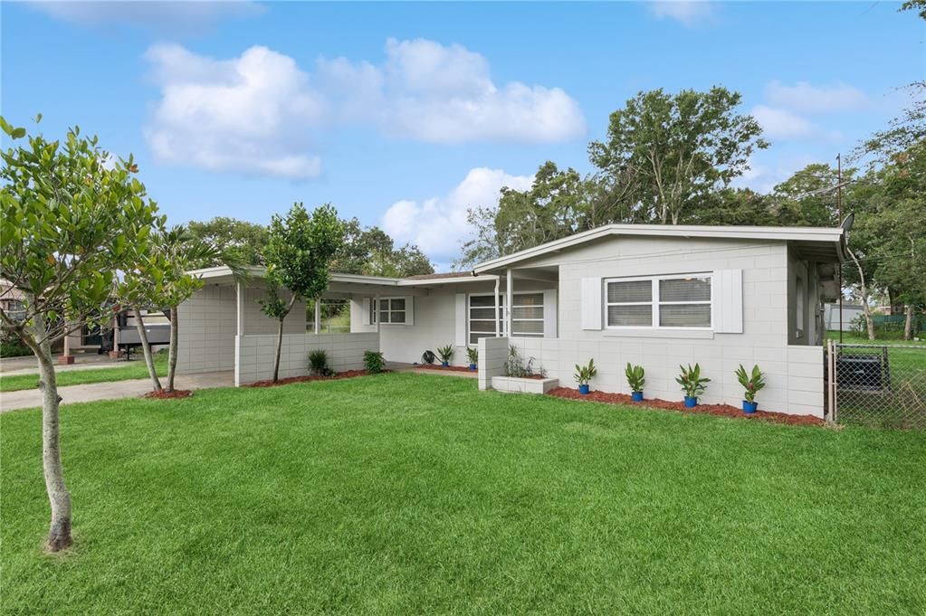 Backyard, Exterior