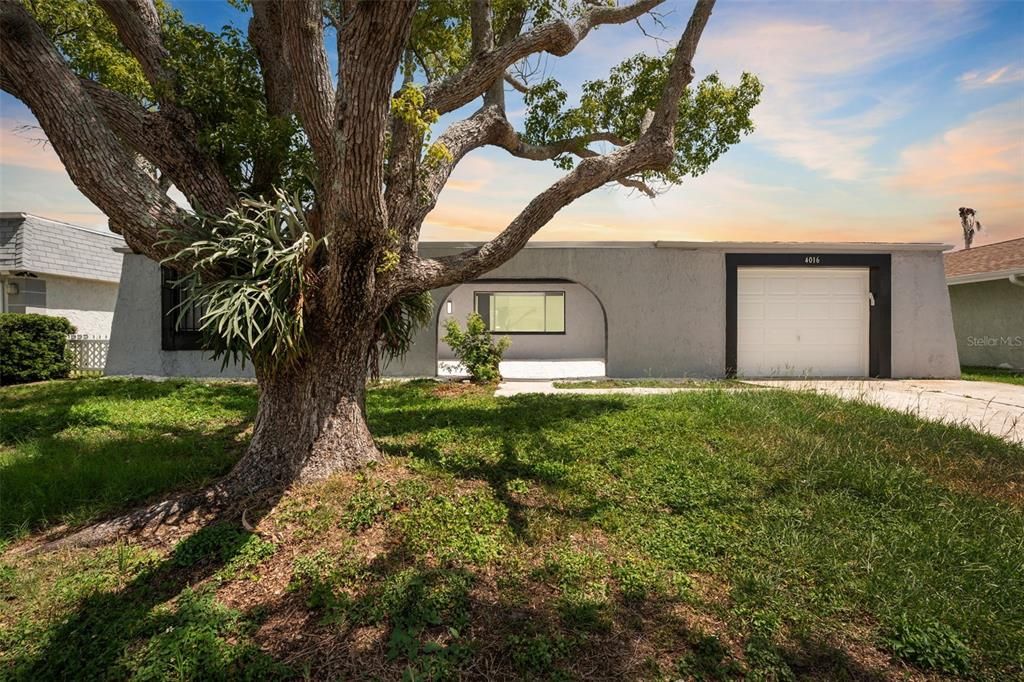 Backyard, Exterior