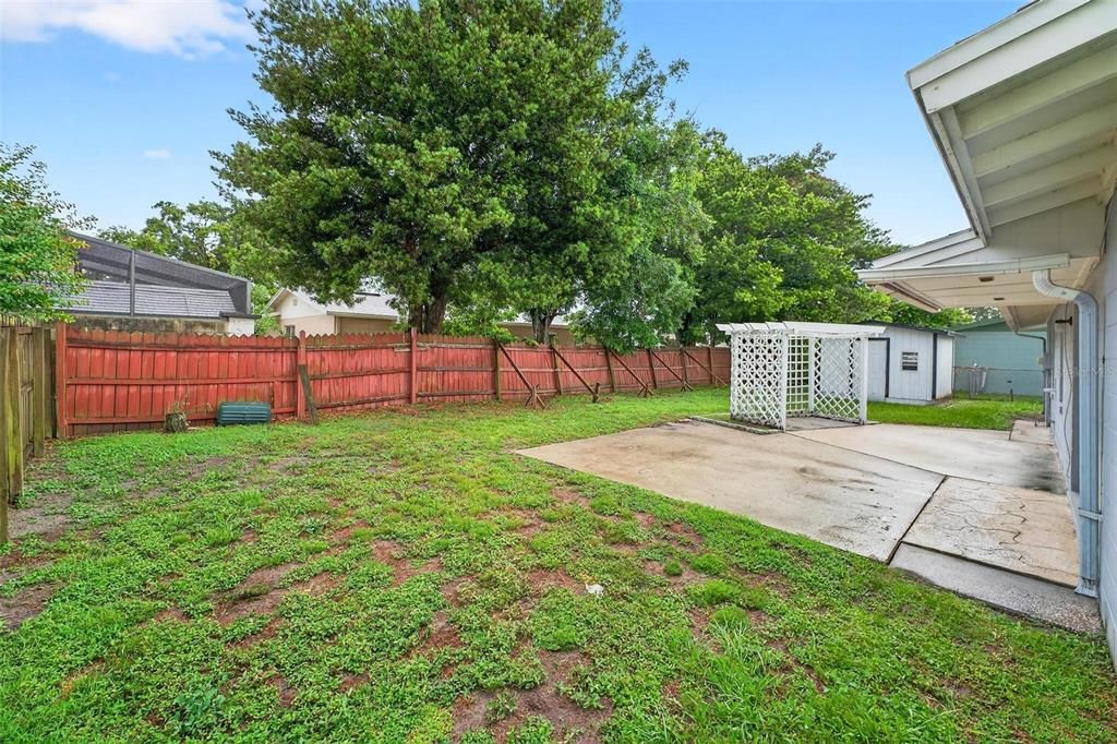 Backyard, Exterior