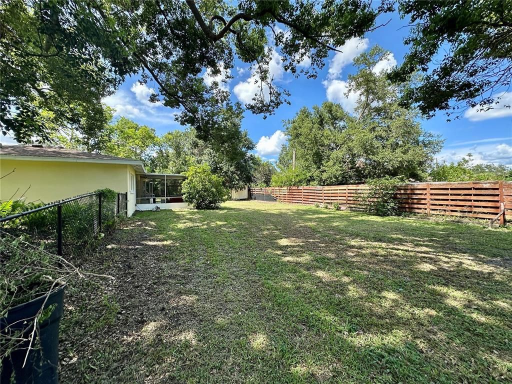 Backyard, Exterior