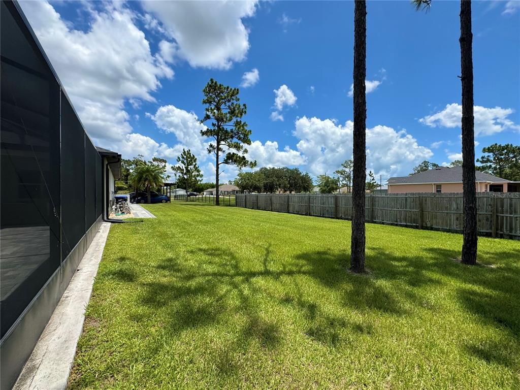 Backyard, Exterior