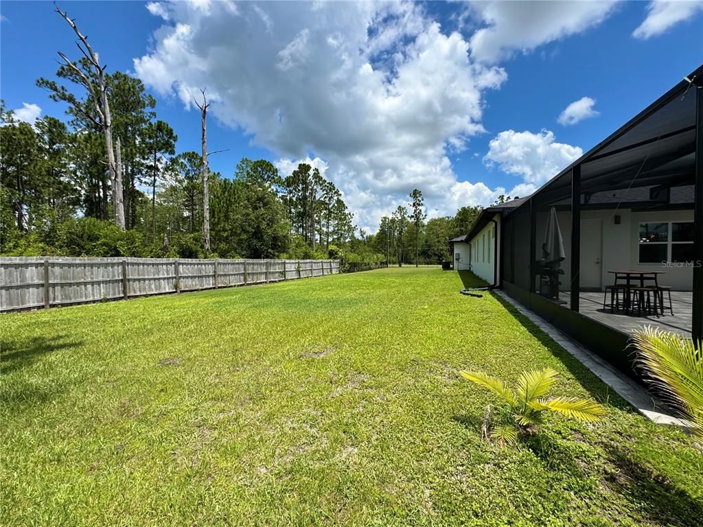 Backyard, Exterior