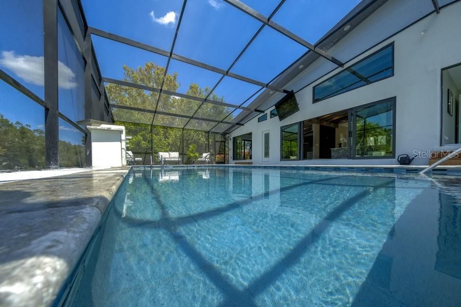 Glass Ceilings, Interior, Pool, Sun Room