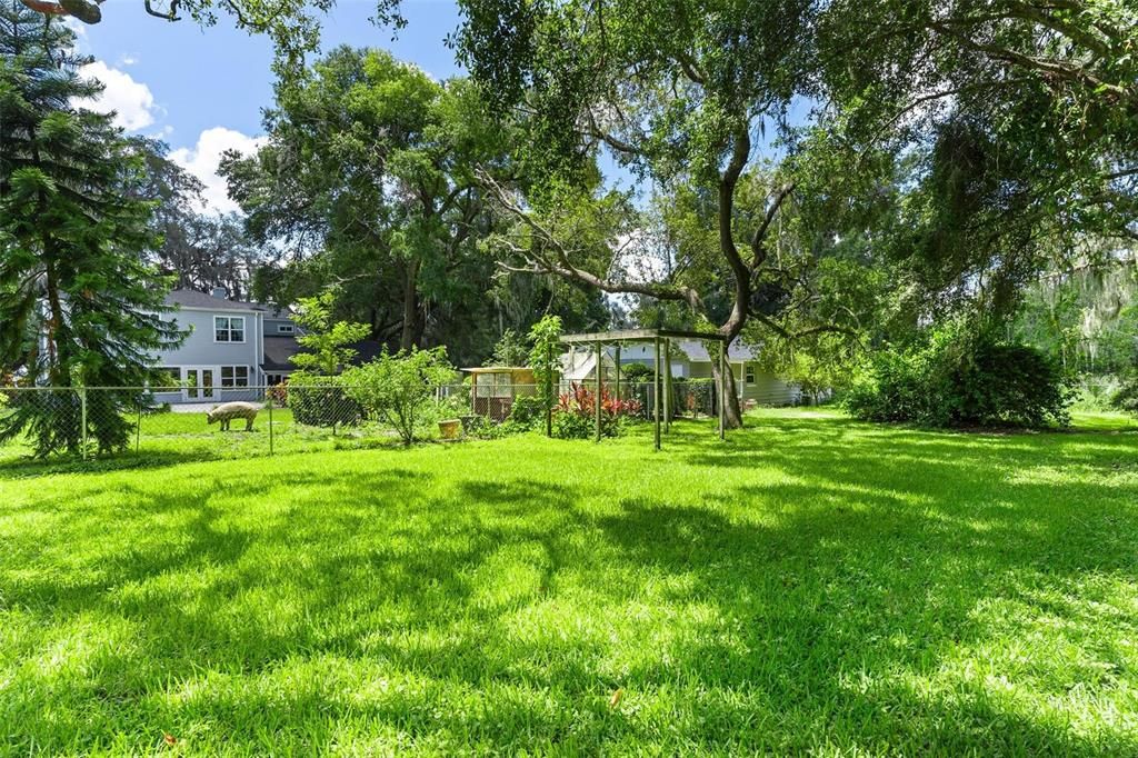 Backyard, Exterior